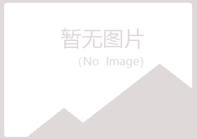 鹤壁山城女孩造纸有限公司